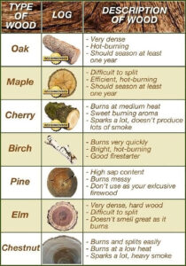 Best fuel for outdoor log burner infographic