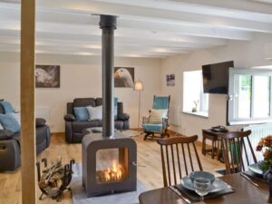 A wood burning stove by vesta stoves